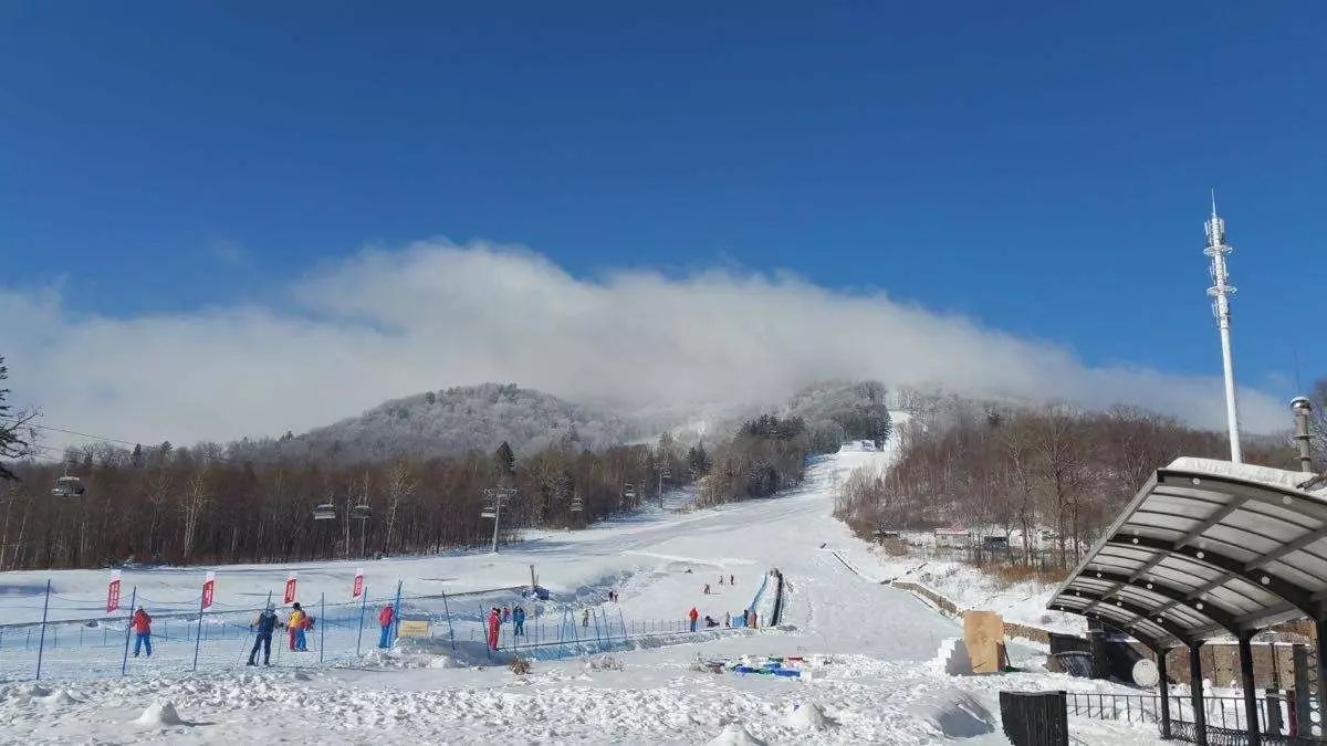 全球滑雪城市推薦，體驗極致的滑雪樂趣，全球滑雪城市推薦，盡享極致滑雪樂趣之旅