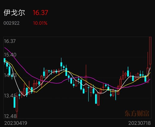 伊戈爾股吧東方財富，股市新星與數(shù)字化金融的未來展望，伊戈爾股吧東方財富，股市新星崛起與數(shù)字化金融前景展望