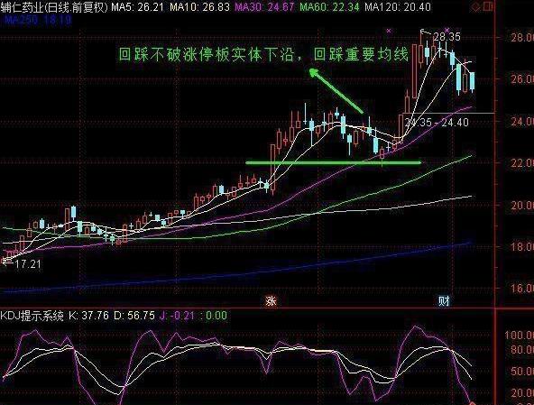 深入解析奧門一肖平特：賽馬預測的科學依據