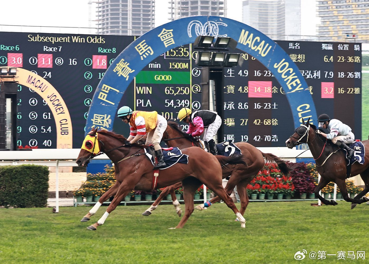 看香港正版精準特馬資料,調整計劃執行細節_專屬款65.268