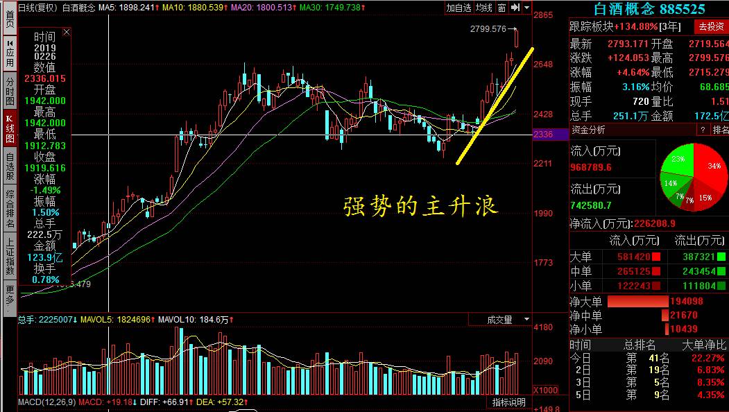 創歷史新高的股票，探尋背后的力量與機遇，創歷史新高的股票，背后的力量與機遇解析