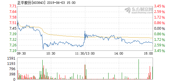 正平股份收盤下跌0.97%，市場解讀與未來展望，正平股份下跌0.97%，市場解讀與前景展望