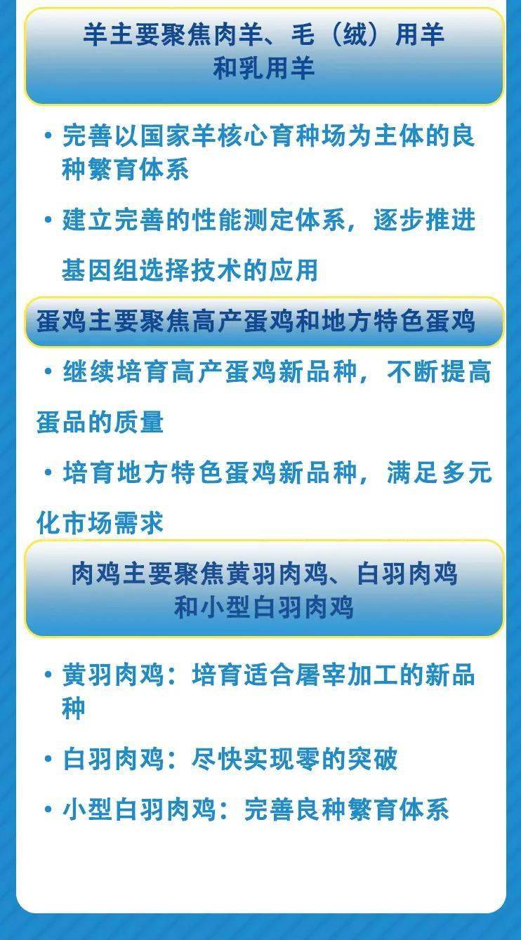 新澳精準免費提供,廣泛的解釋落實支持計劃_豪華版8.713