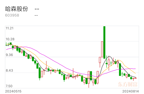 哈森股份上漲原因深度解析，哈森股份上漲原因深度探究