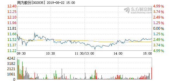 同為股份股票，探索與洞察，股份股票的深度探索與洞察