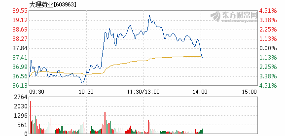 大理藥業股票，投資潛力與市場前景分析，大理藥業股票投資潛力與市場前景深度解析