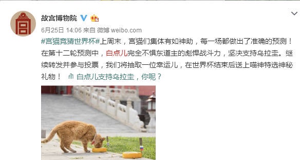 7777788888新版跑狗圖：賽狗賽事深度分析