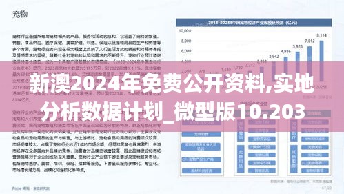 2024新澳免費資料分享：解鎖留學生活中的必備技能