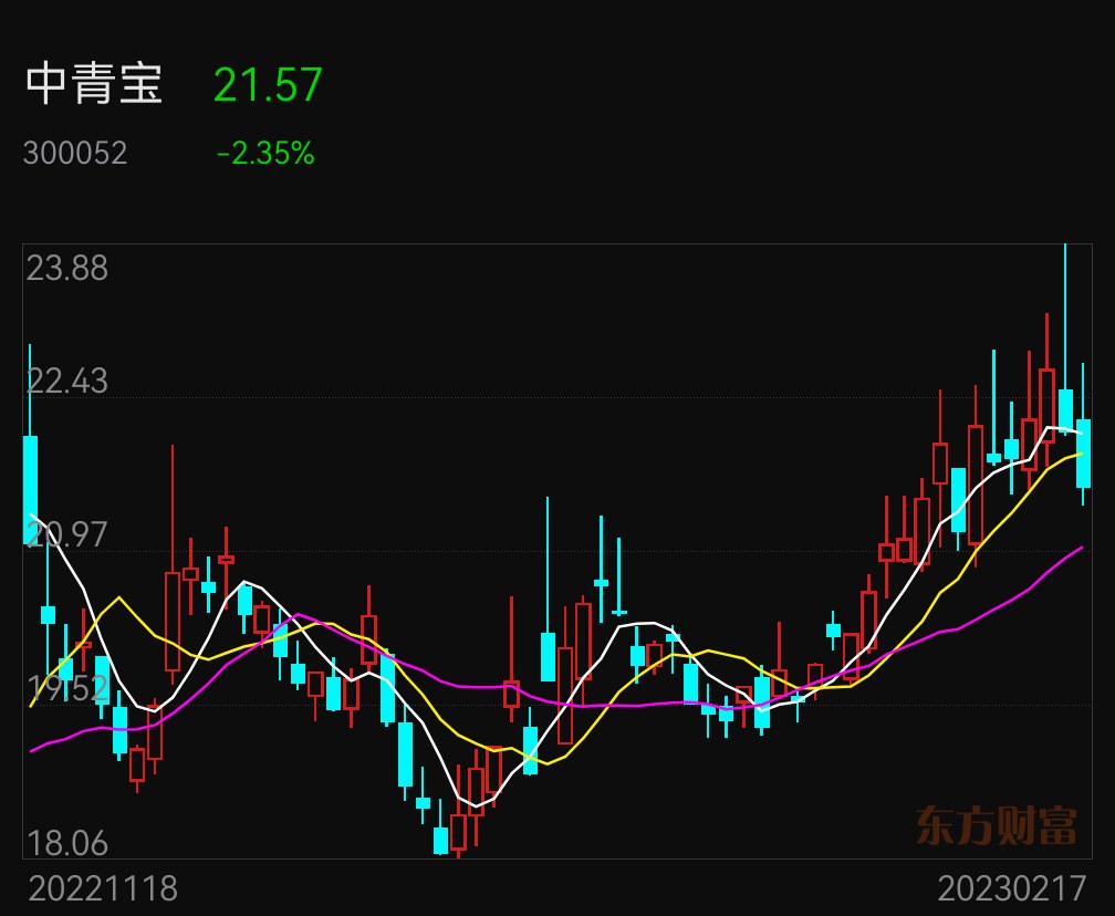 探索中青寶股吧的獨特魅力，一場數字時代的金融之旅，中青寶股吧的獨特魅力，數字時代的金融之旅探索