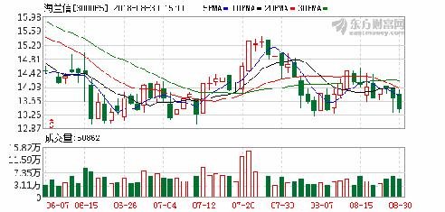 股票300065，深度解析與前景展望，股票300065深度解析與未來前景展望