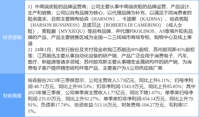 哈森股份的漲勢與未來展望，哈森股份漲勢強勁，未來展望與前景分析