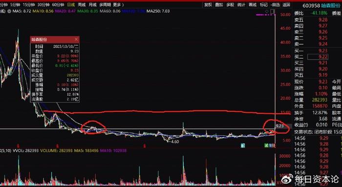 哈森股票最新消息全面解析，哈森股票最新動(dòng)態(tài)全面解讀