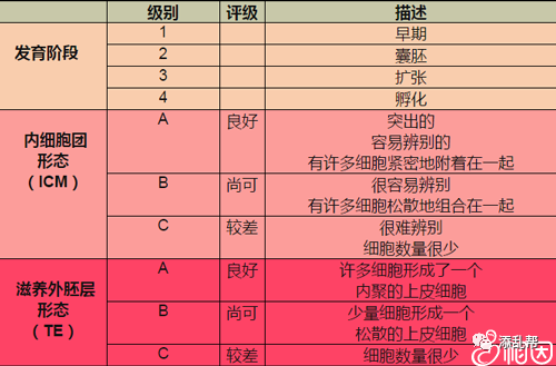 2024年正版管家婆最新版本,科學評估解析_AP43.15