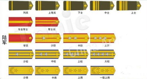 中國(guó)武警部隊(duì)軍銜等級(jí)制度詳解，中國(guó)武警部隊(duì)軍銜等級(jí)制度全面解析