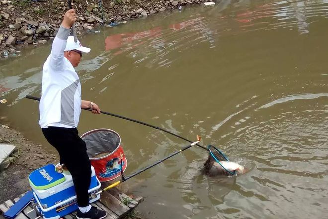 釣魚，誰在控制這一切？，揭秘釣魚背后的操縱者，誰在掌控這一切？