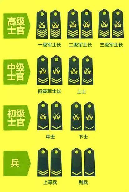 士官軍銜等級圖，揭示軍隊(duì)士官制度的層次與榮譽(yù)，士官軍銜等級圖，揭示軍隊(duì)士官制度的層次與榮譽(yù)體系