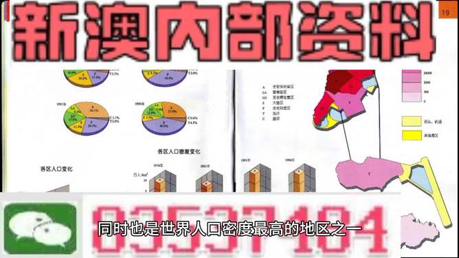 新澳門精準資料大全與管家婆料，探索與解析，澳門精準資料大全與管家婆料，深度探索與解析