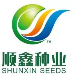 登海種業最新消息全面解讀，登海種業最新消息全面解讀與分析