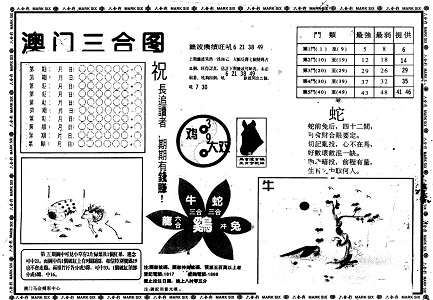 白小姐王中王選一肖中特，揭秘背后的秘密與獨特魅力，揭秘白小姐王中王選一肖中特的獨特魅力和背后秘密