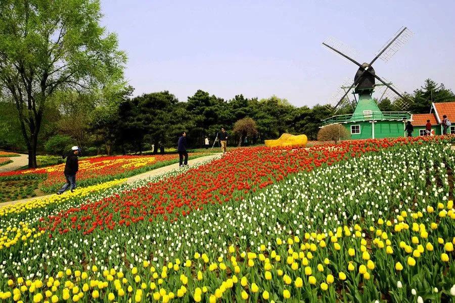 沈陽世博園門票價格詳解，多少錢一張？，沈陽世博園門票價格全解析，費用究竟是多少？