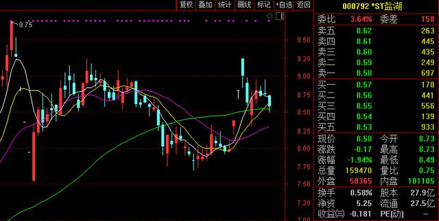 ST鹽湖股票最新消息深度解析，ST鹽湖股票最新消息深度解讀與分析