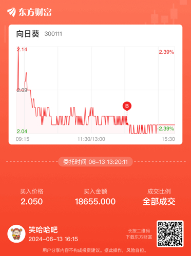 揭秘300111向日葵股票行情——投資機會與挑戰并存，揭秘300111向日葵股票行情，機遇與挑戰并存的投資策略分析