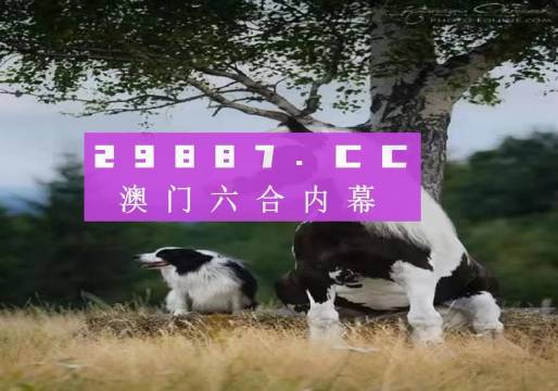 澳門49圖正版開獎，警惕背后的犯罪風險，澳門49圖正版開獎背后的犯罪風險警惕