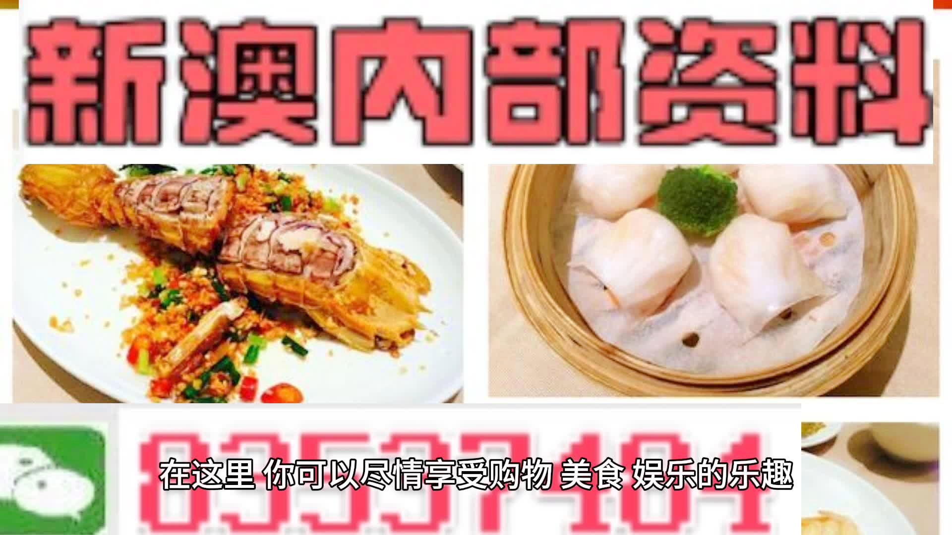 新奧天天精準資料大全，探索與洞察，新奧天天精準資料大全，探索與洞察的洞察