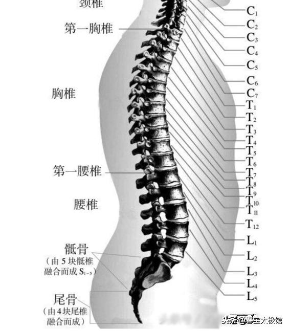 他的腰身緩慢的下沉，歲月與生活的重量，歲月與生活的重量壓彎他的腰身