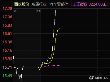 西儀股份，探索企業潛力，展望未來發展，西儀股份，挖掘企業潛力，展望輝煌未來