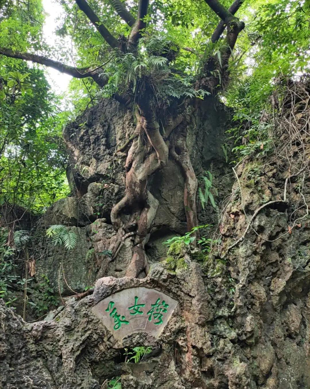 中國(guó)第一大瀑布——壯美與神秘并存的自然奇觀，中國(guó)第一大瀑布，壯美與神秘的自然奇觀