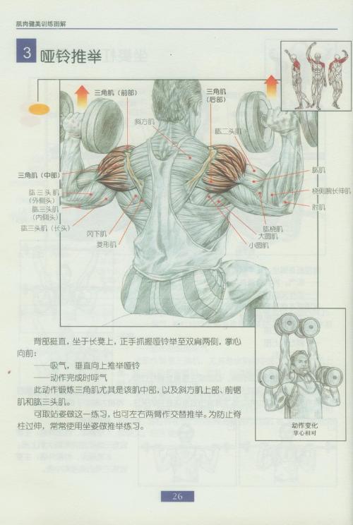 健身房健身計劃圖解，打造完美身材的全方位指南，健身房健身計劃圖解，全方位指南助你塑造完美身材