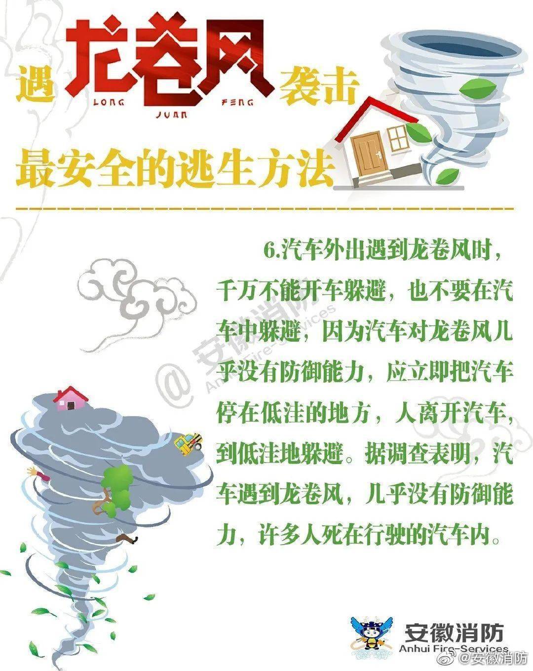 警惕九大致命加盟項目，創業者需明智選擇，警惕九大致命加盟項目，創業者如何明智選擇避免風險