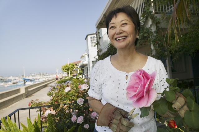 中老年征婚再婚網第494期，探索中老年婚戀新篇章，中老年征婚再婚網第494期，探索中老年婚戀新篇章的機遇與挑戰