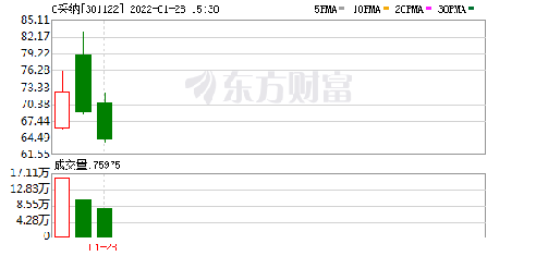 揭秘301185股票，潛力股的投資價值與風險評估，揭秘股票301185的投資價值與風險評估，潛力股深度解析