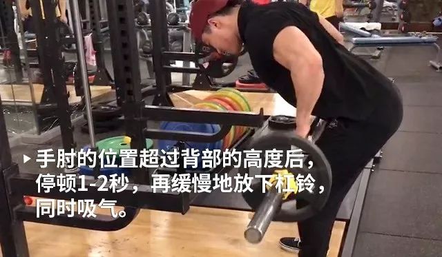 俯身杠鈴劃船，塑造力量與美感的完美結合，俯身杠鈴劃船，塑造完美力量與美感的健身動作