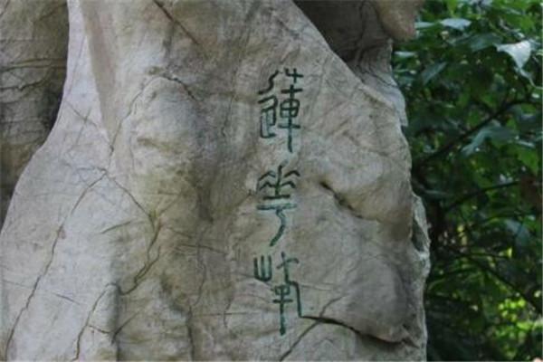 莫干山旅游，自然與人文的完美融合，莫干山旅游，自然與人文的和諧交融之旅