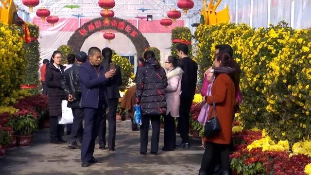 鳳凰山森林公園，自然與文化的和諧交融，鳳凰山森林公園，自然與文化的美妙交融