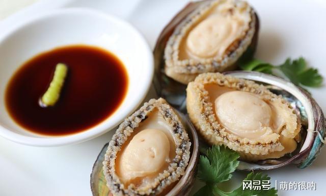 家常美味鮑魚做法指南，家常美味鮑魚烹飪指南