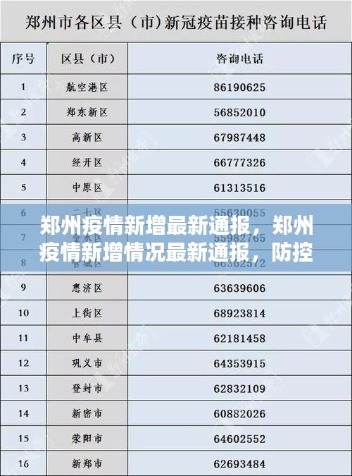 鄭州疫情最新情況分析報告，鄭州疫情最新分析報告，最新動態與數據解讀