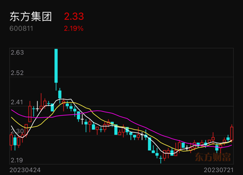 東方集團（600811）股票行情深度解析，東方集團（600811）股票行情全面解析