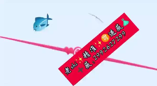 新澳2025年精準一肖一碼，預測與探索，新澳2025年精準生肖一碼預測與展望