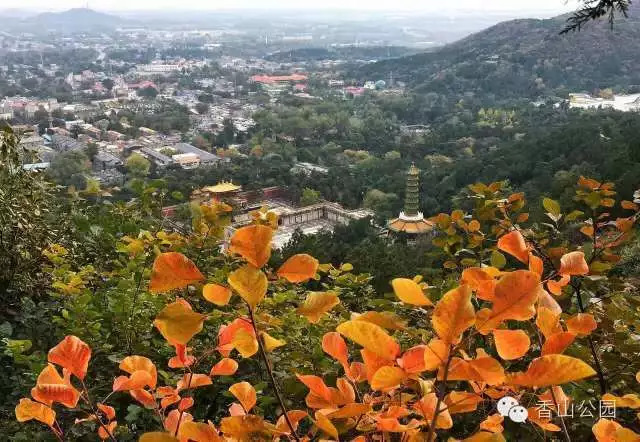 探索自然之美，香山公園官網門票預約指南，香山公園官網門票預約指南，探索自然之美