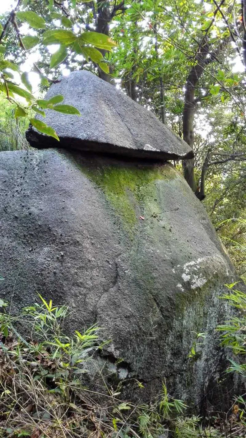 峰山國(guó)家森林公園，自然之韻，生態(tài)之旅，峰山國(guó)家森林公園，自然生態(tài)之旅的絕美篇章