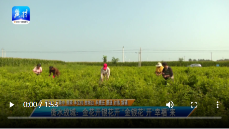 大地資源高清播放，在線觀看的新時代，大地資源高清播放，在線觀看新時代的盛宴