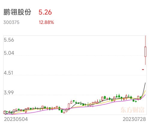 鵬翎股份，探索企業潛力，展望未來發展，鵬翎股份，挖掘企業潛力，展望輝煌未來