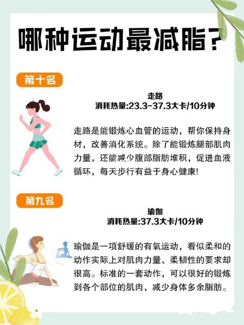 減肥的最佳運動，探索最有效的健身方式，探索最有效的健身方式，減肥的最佳運動選擇