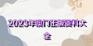 澳門(mén)資料大全正版資料，探索與解析（2025版），澳門(mén)資料大全正版探索與解析，最新解析報(bào)告（2025版）